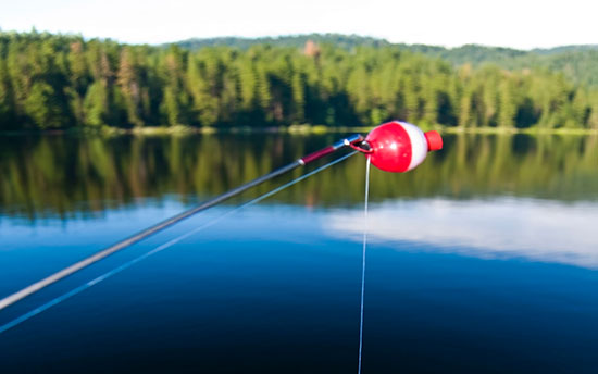 Fishing pole