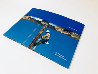 Cover of annual report