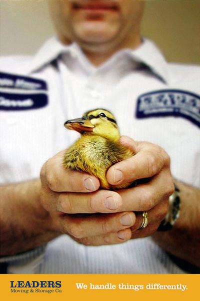 identity poster with man holding a duck